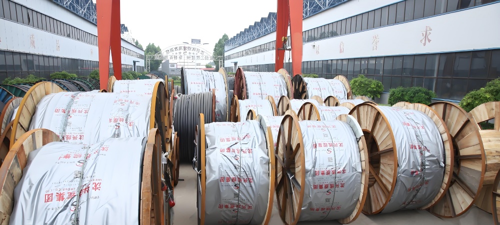 Shenxing Cable Group was listed in the Hurun Rich Forum, leading the new trend of high-quality development of cables