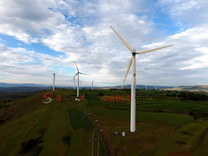 Empowering Green Energy: Shenxing Cable Group Supports 50MW Wind Power Project